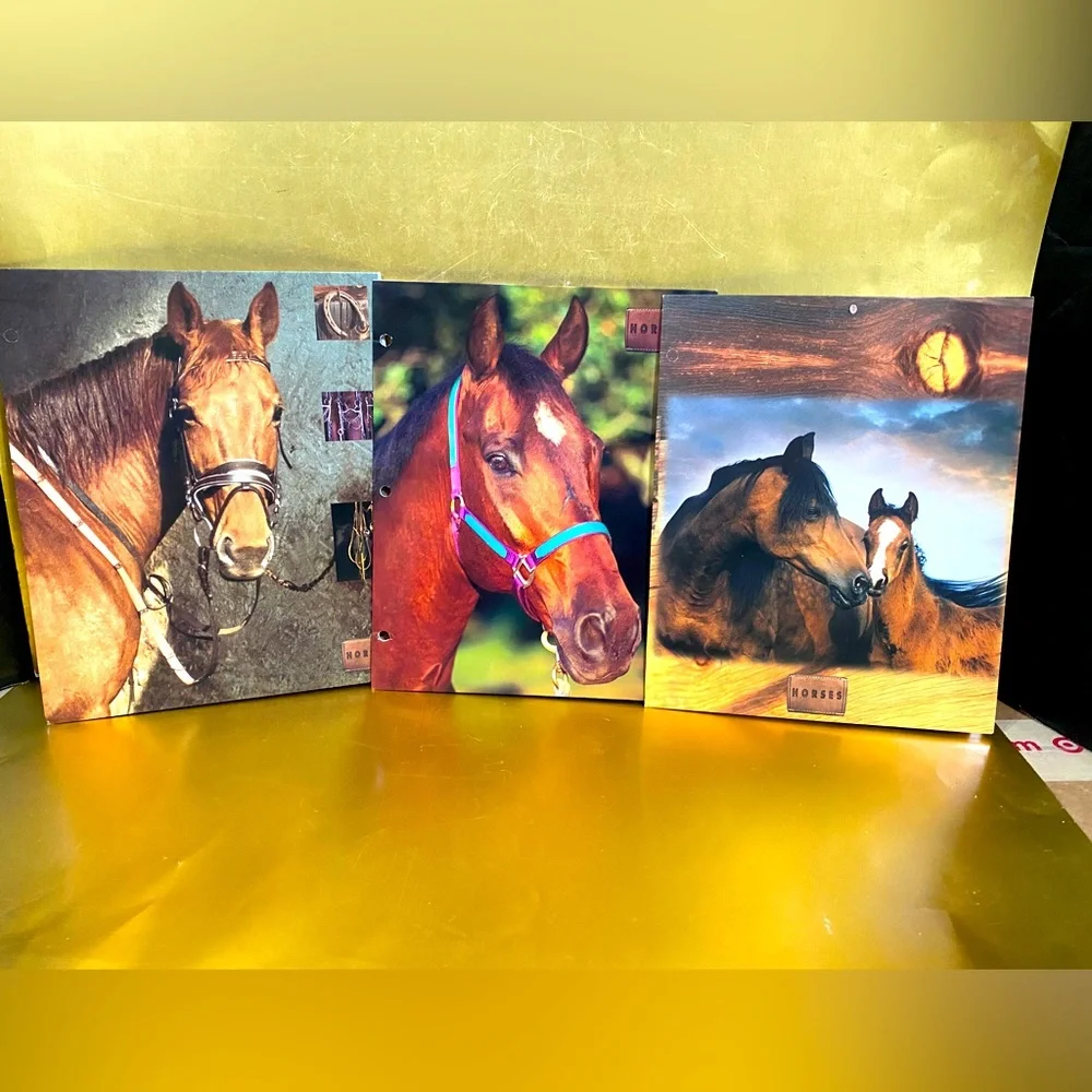 HORSES VINTAGE 90’s PORTFOLIO 3 RING BINDER FOLDERS BUNDLE OF 3 GREAT FOR SCHOOL